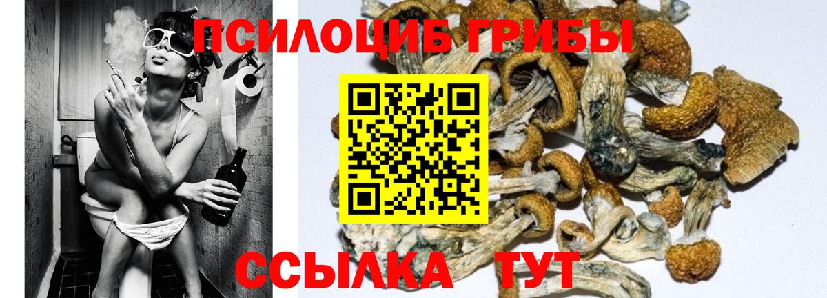 Псилоцибиновые грибы Psilocybine cubensis  Вход с VPN  Новый Уренгой  Псилоцибиновые грибы MAGIC MUSHROOMS 